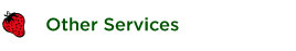 Other Services